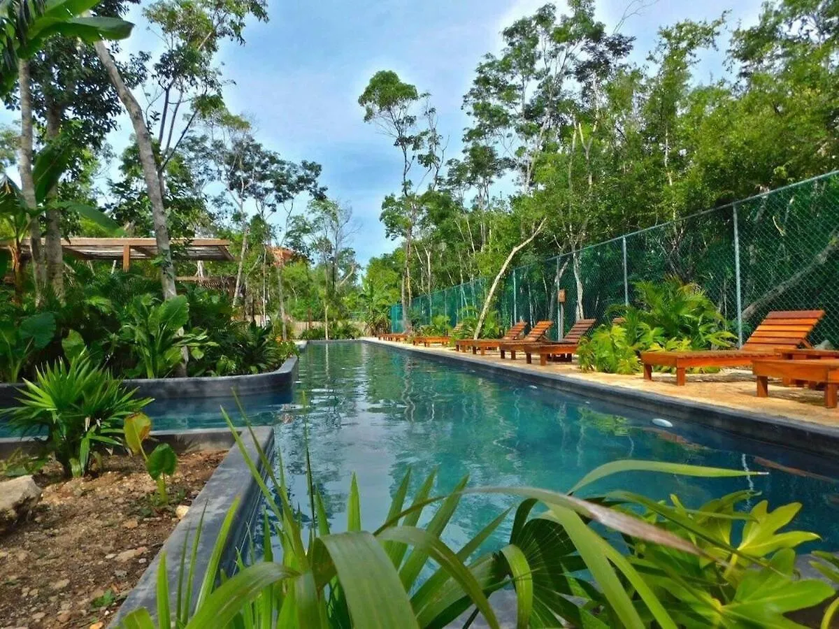 Amplio Depto. C/Terraza Privada + Hermosa Piscina Tulum Mexico